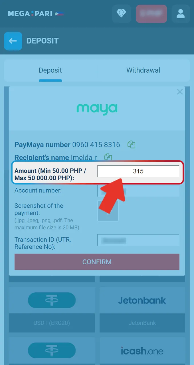 Make a qualifying deposit in PHP on Megapari to activate your chosen bonus offer.