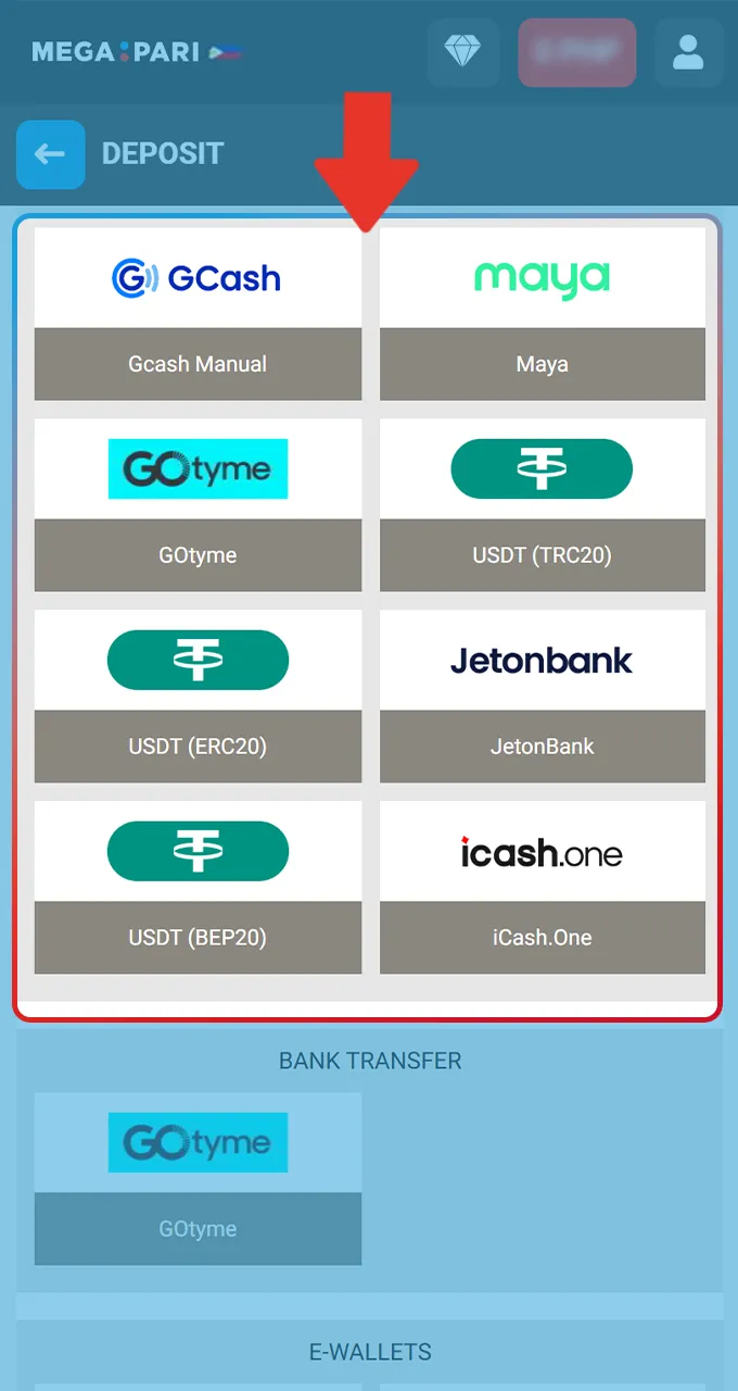 Select a convenient Megapari payment method like GCash, Maya, or any supported cryptocurrency option.