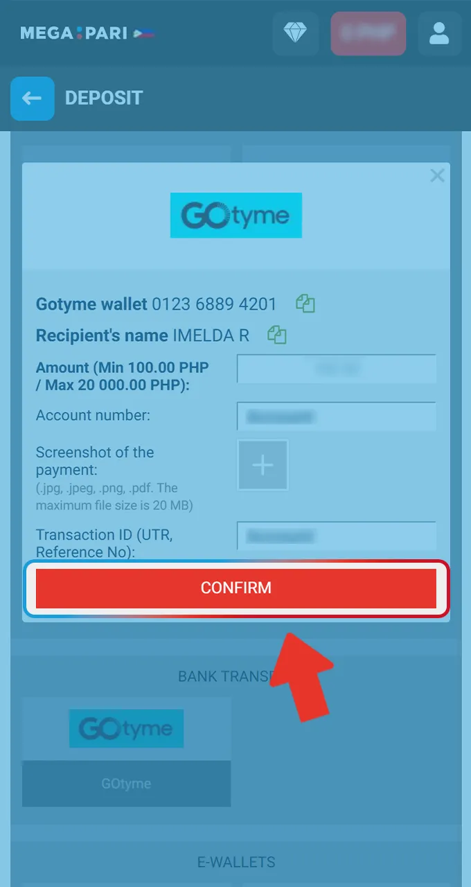 Confirm the transaction with your payment provider to instantly receive money in your Megapari account.