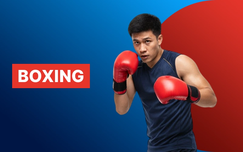 Place live bets on exciting boxing matches from WBC and WBA calendars at Megapari.